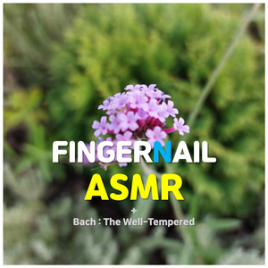 손톱 두드리는 소리 2