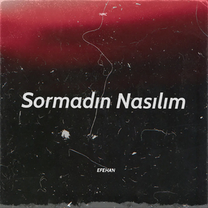 Sormadın Nasılım