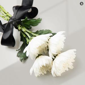 돌아갈 수 없는 상황