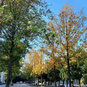 非常时刻（钢琴版）