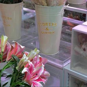 情愫