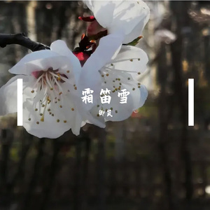 霜笛雪 伴奏