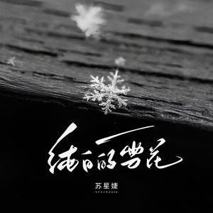 纯白的雪花（校园广播版）