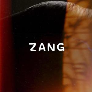 ZANG2.0-迷之DEMO