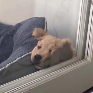 浪漫主义
