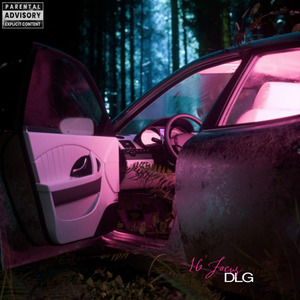 DLG