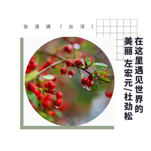 在这里遇见世界的美丽(左宏元 杜劲松)