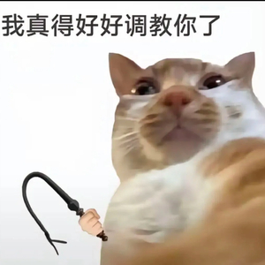 十里（Cover 加木）