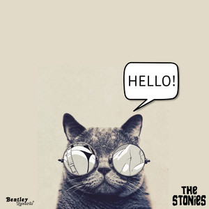 Hello
