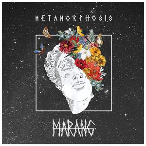 Vander (feat. Anup Sastry)