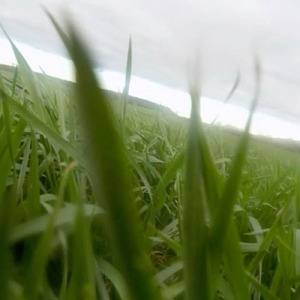 myself (feat. cxjiklen)