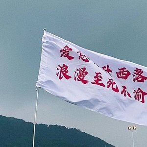 每个浪漫的夜，想有你在身边