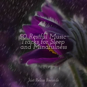 Twilight Tango of Citrus Dreams