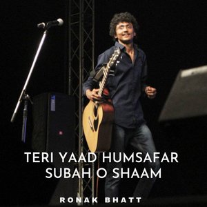 Teri Yaad Humsafar Subah O Shaam