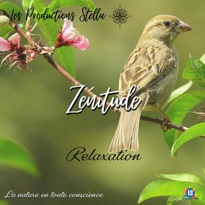 Zénitude