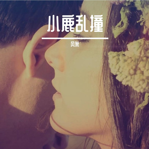 小鹿乱撞