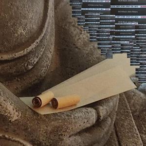 שתי ריזלות (feat. לחם & FatBo!)