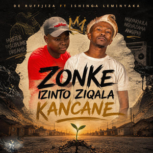 Zonke izinto ziqala kancane