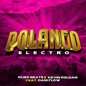 POLANCO (Electro Beat) (feat. Dani flow)