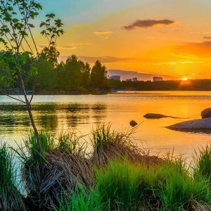 想问你又不敢问