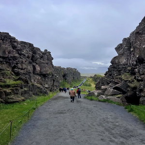 流浪(抖音热门卡点抒情版)