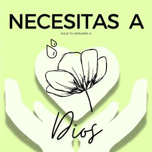 ¿Por Qué No Buscas de Él?