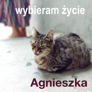 Wybieram życie (Radio Edit)