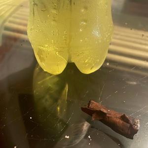 SWFD (feat. TrapBaby Zayto)