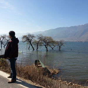 我家有个小石头