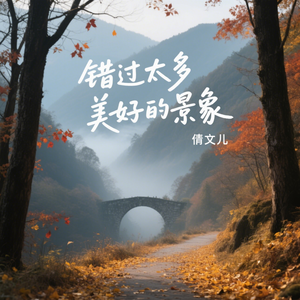 错过太多美好的景象伴奏