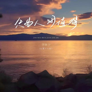 只为人间值得 (DJ豪大大版)