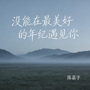 没能在最美好的年纪遇见你