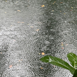 Falling in the Cycle