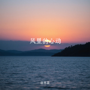 风里的心动