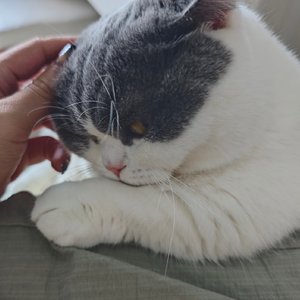 你好小何