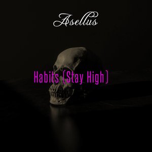 Habits (Stay High)