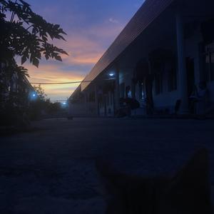 去海边散步看看浪花