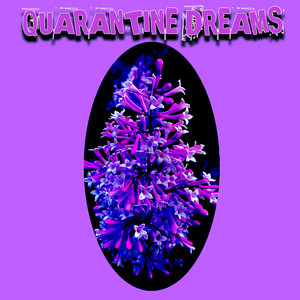 Quarantine Dreams