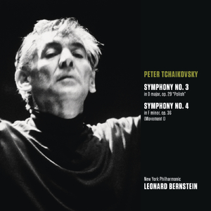Symphony No. 3 in D Major, Op. 29, TH 26 "Polish":I. Introduzione e Allegro. Moderato assai