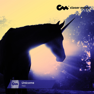 Unicorns (Instrumental)