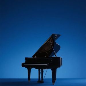 竹影的摇光-如风