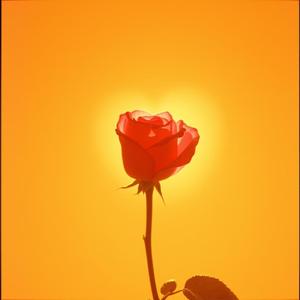 சிரித்து! நீங்கள் சிரித்தால் நீங்கள் இன்னும் அழகானவராக இருக்கின்றீர்கள் (in Tamil South Indian Smile)