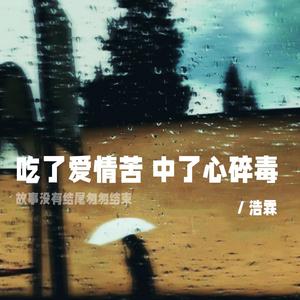吃了爱情苦 中了心碎毒（伴奏）