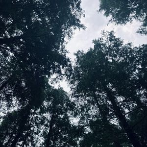 一场大雨把我们困住