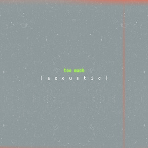 Too Much (Acoustic)