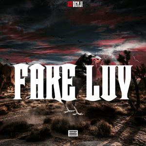 Fake Luv