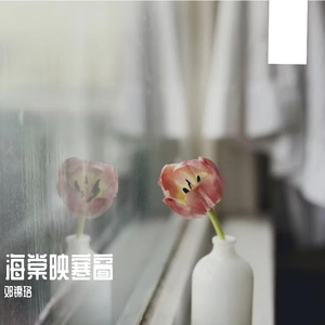 海棠映寒窗 伴奏