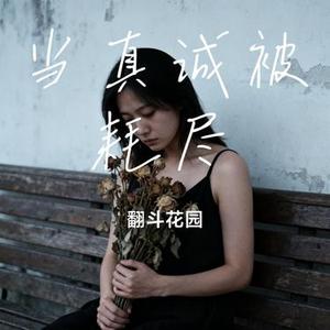 当真诚被耗尽 (Cover 文思闵)