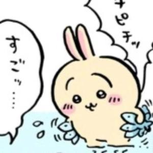 [BEAT] "乌萨奇" Hyperpop Type Beat