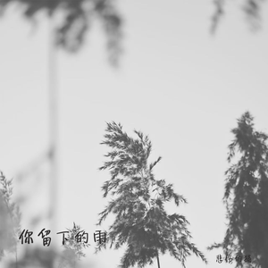 你留下的雨